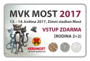 Vstupenka 2017